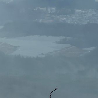 白っぽいところはソーラーパネルかな？とみなさん気になり、ズームしてみた　そうかも