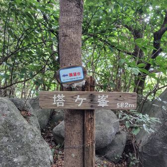 塔ケ峰山頂
