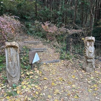 龍がお出迎え🐉