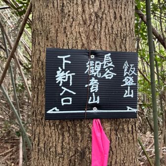 六ヶ岳コースでよく見た看板🪧
感謝🙏