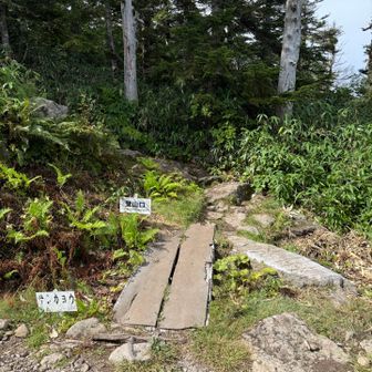 登山口