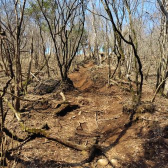 枯れ沢を抜けると今度は山頂直下まで泥濘んだ急登💪