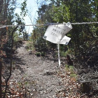この先が左大文字山の火床みたいだけど通行禁止で行けません