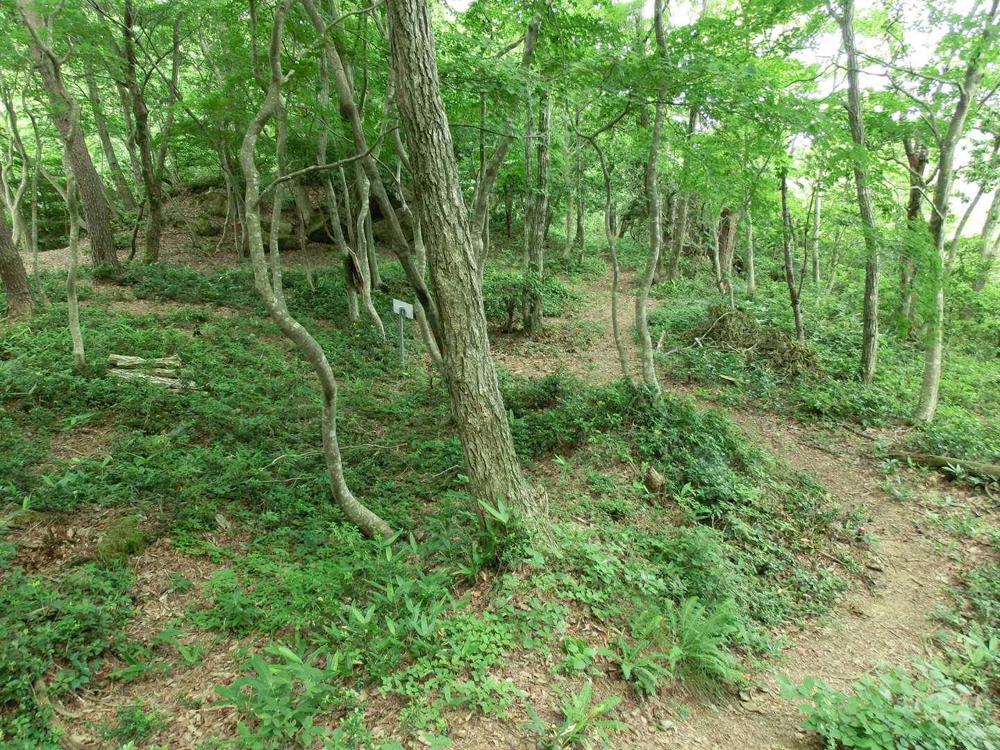 来た道を引き返します