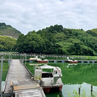 鯨が池🐳