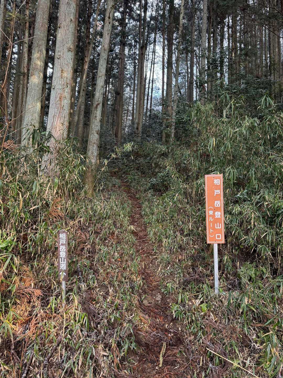 登山口には雪無し