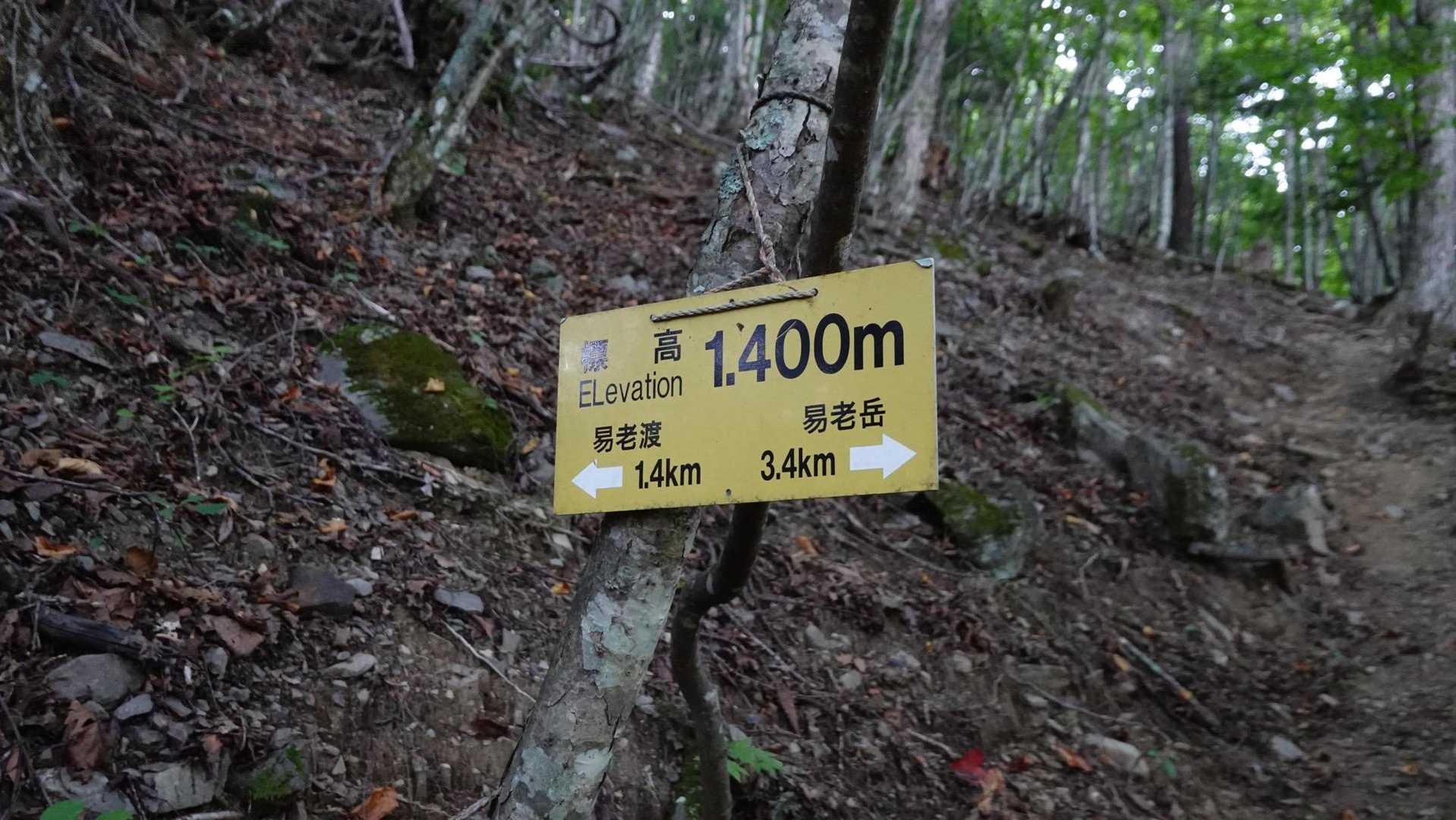 500mで200m上がったらしい
