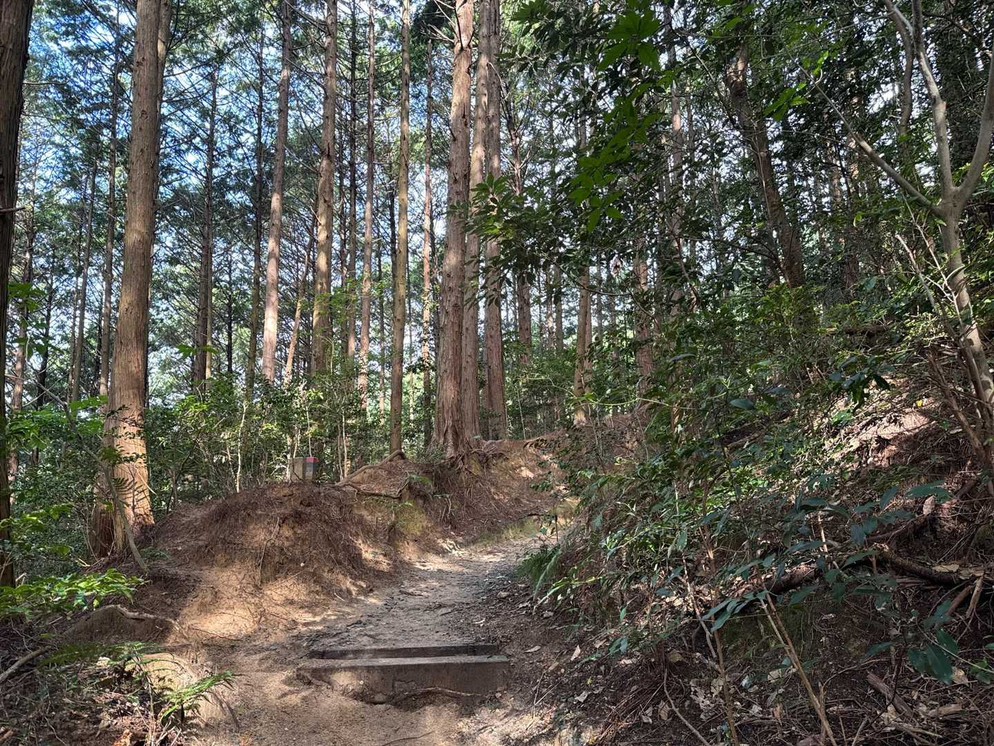 岩屋山 往復 | 悲運の名将、高橋紹運玉砕の岩屋城跡へ向かう里山ハイクの写真