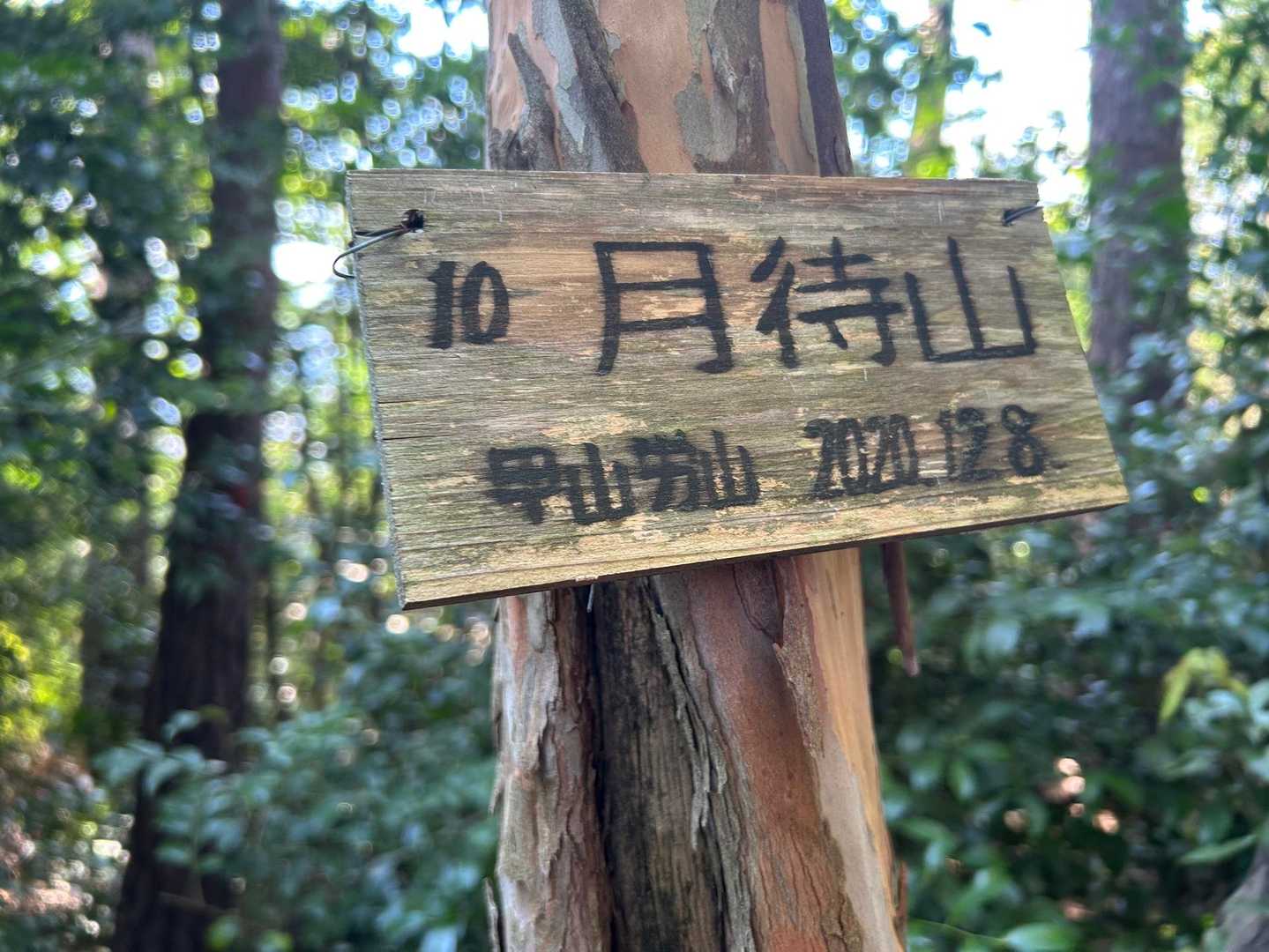 続いて月待山！