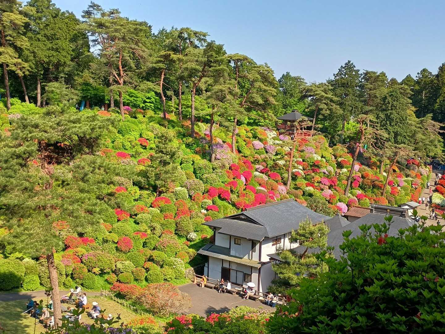 東青梅駅-塩船観音寺-笹仁田峠-七国峠-七国山-七国山登山 縦走コースの写真