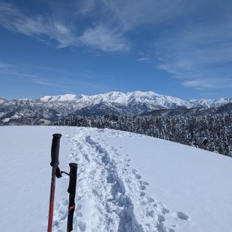 【こつぶり山】山頂
【白山連峰】がバッチリ