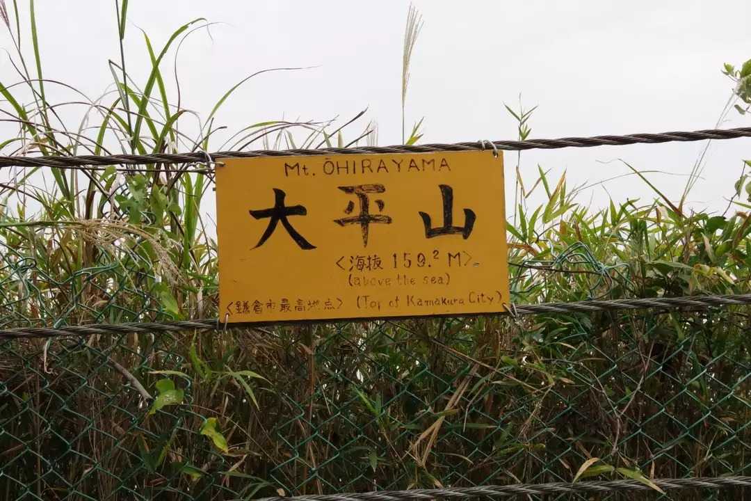大平山の写真