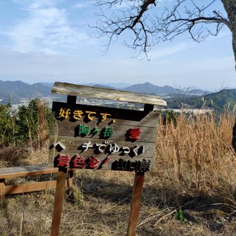 ようやく好きになれそうです(笑)🤣