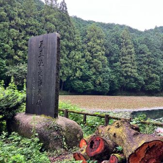 大きな池