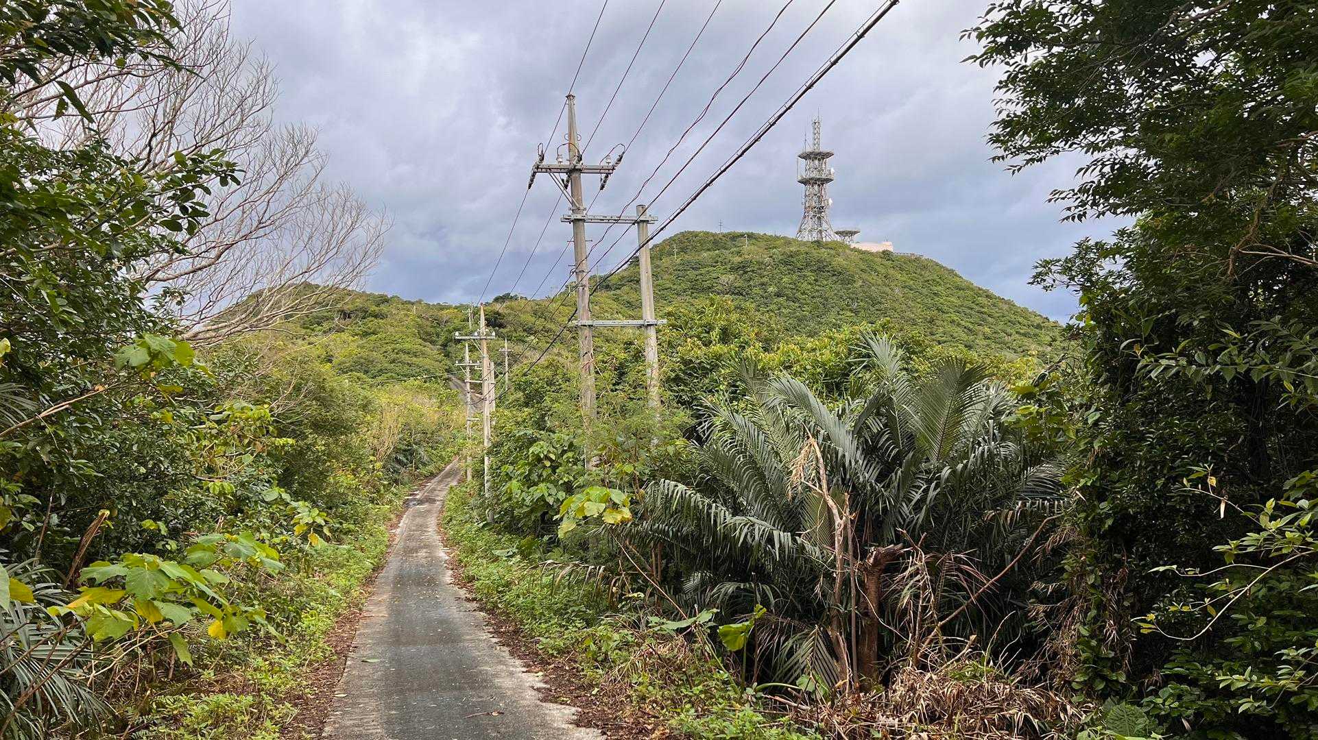 宇良部岳入口-宇良部岳 往復コースの写真
