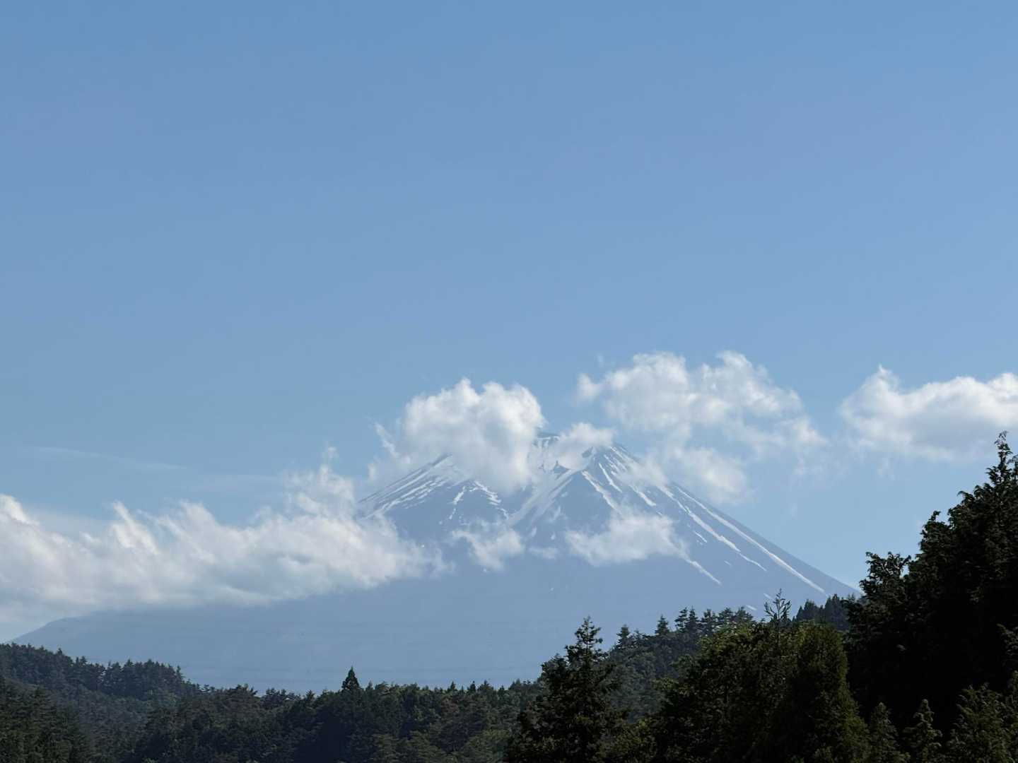 あっ！
富士山がちょっと見える！🗻😲