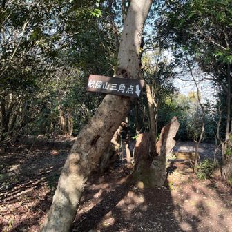 三山の中で最も高く199m