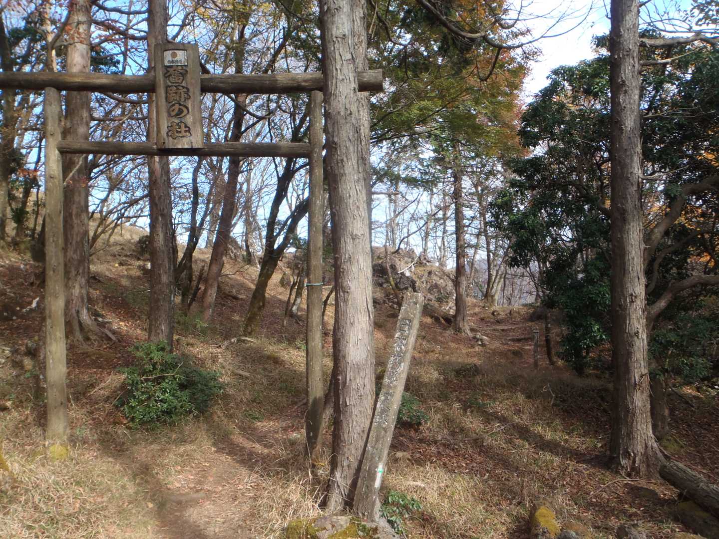 奮跡の杜