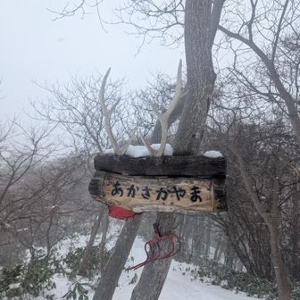 またまた真っ白