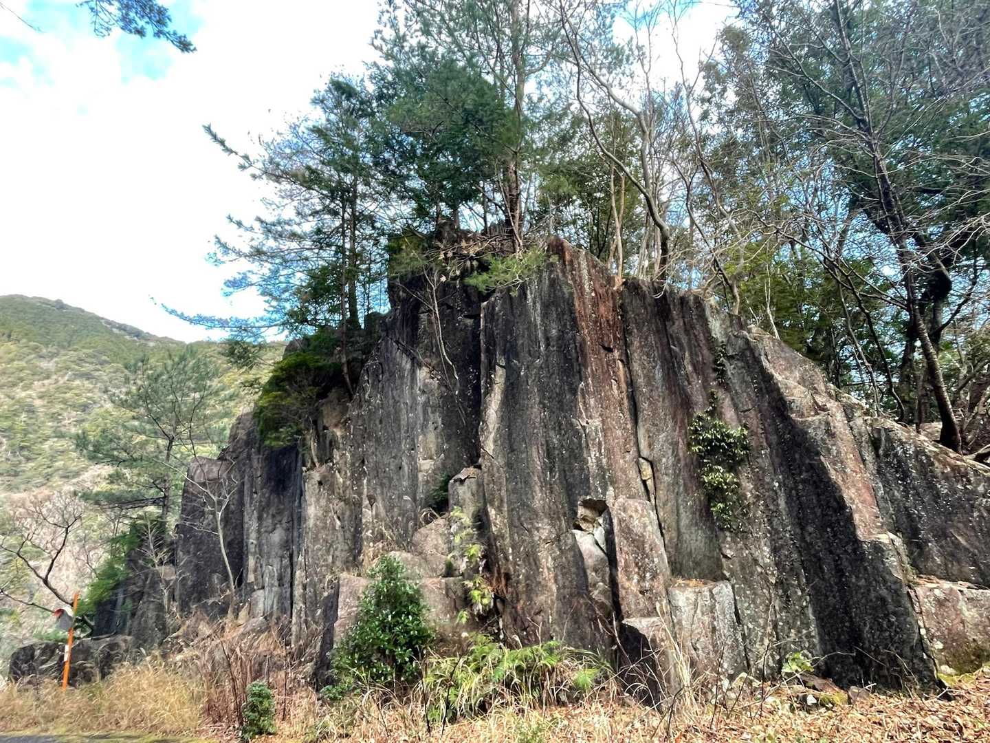 桐原側登山口-子ノ泊山-桐原側尾根登山口 周回コースの写真