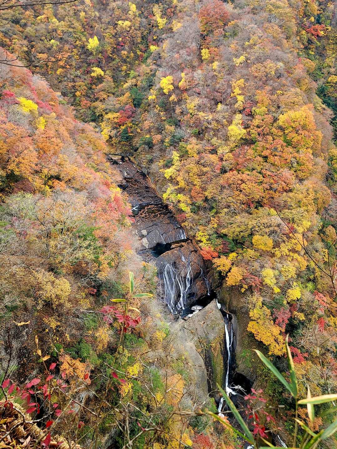 立神山-鍋転山-月居山-月居観音堂 周回コースの写真
