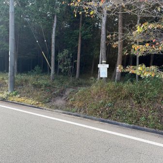 駐車場向かいに登山口