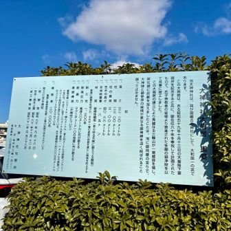 大神神社の大鳥居は、大きさランキング2位🥈ちなみに日本一大きな鳥居は熊野本宮大社⛩️