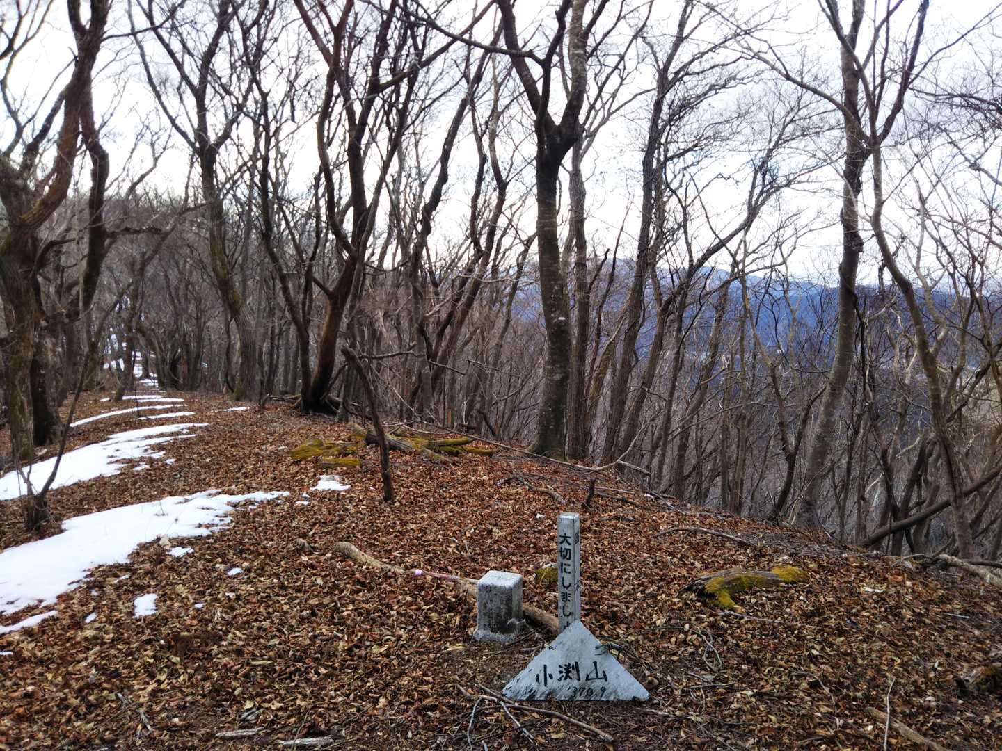 小渕山山頂到着！
右手、北上川の方が少しだけ見えてます。