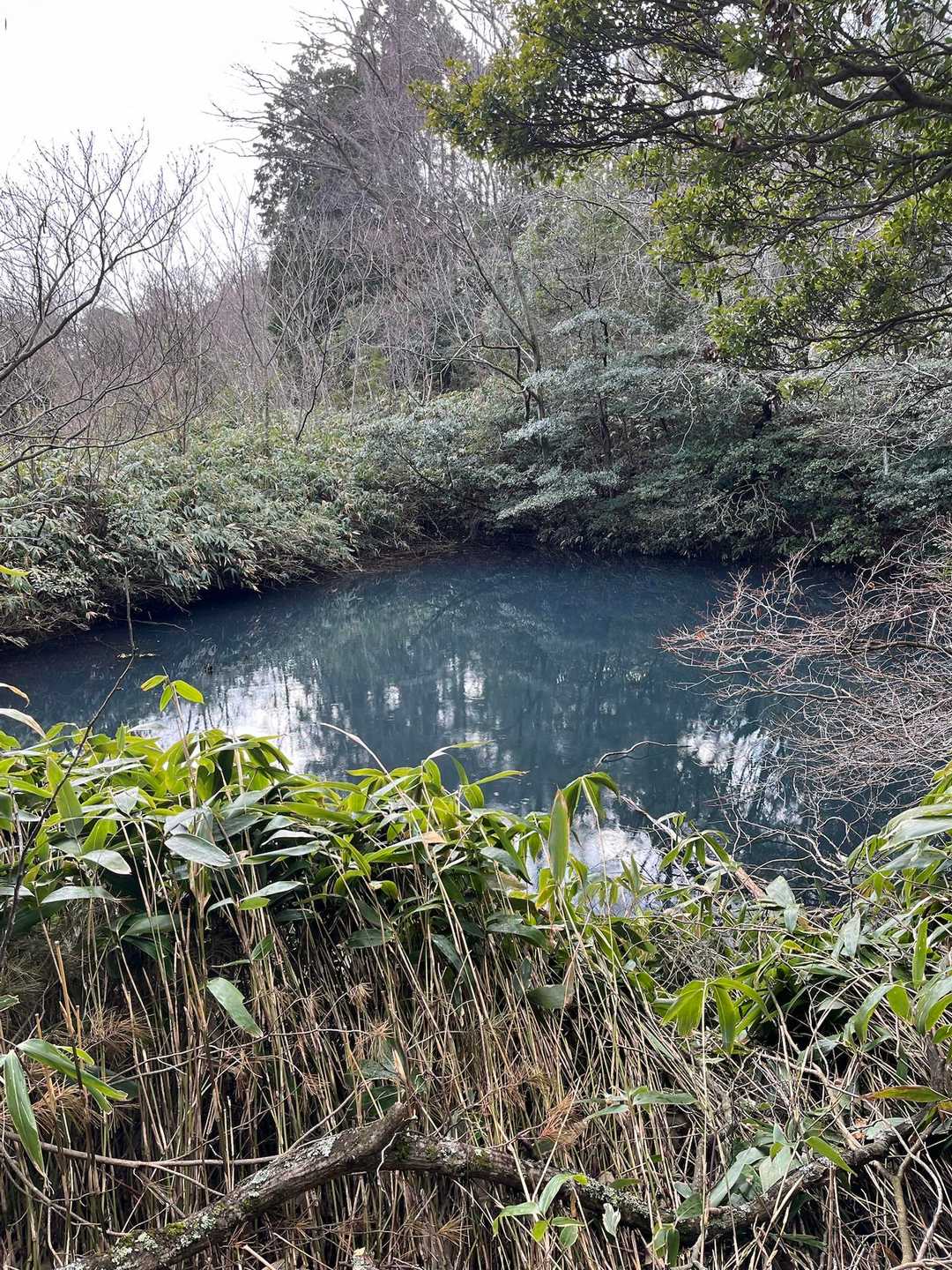 周回ルートで下山中
怪しい色の池が‥