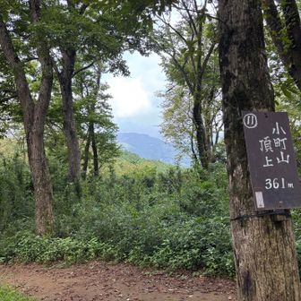 小町山山頂