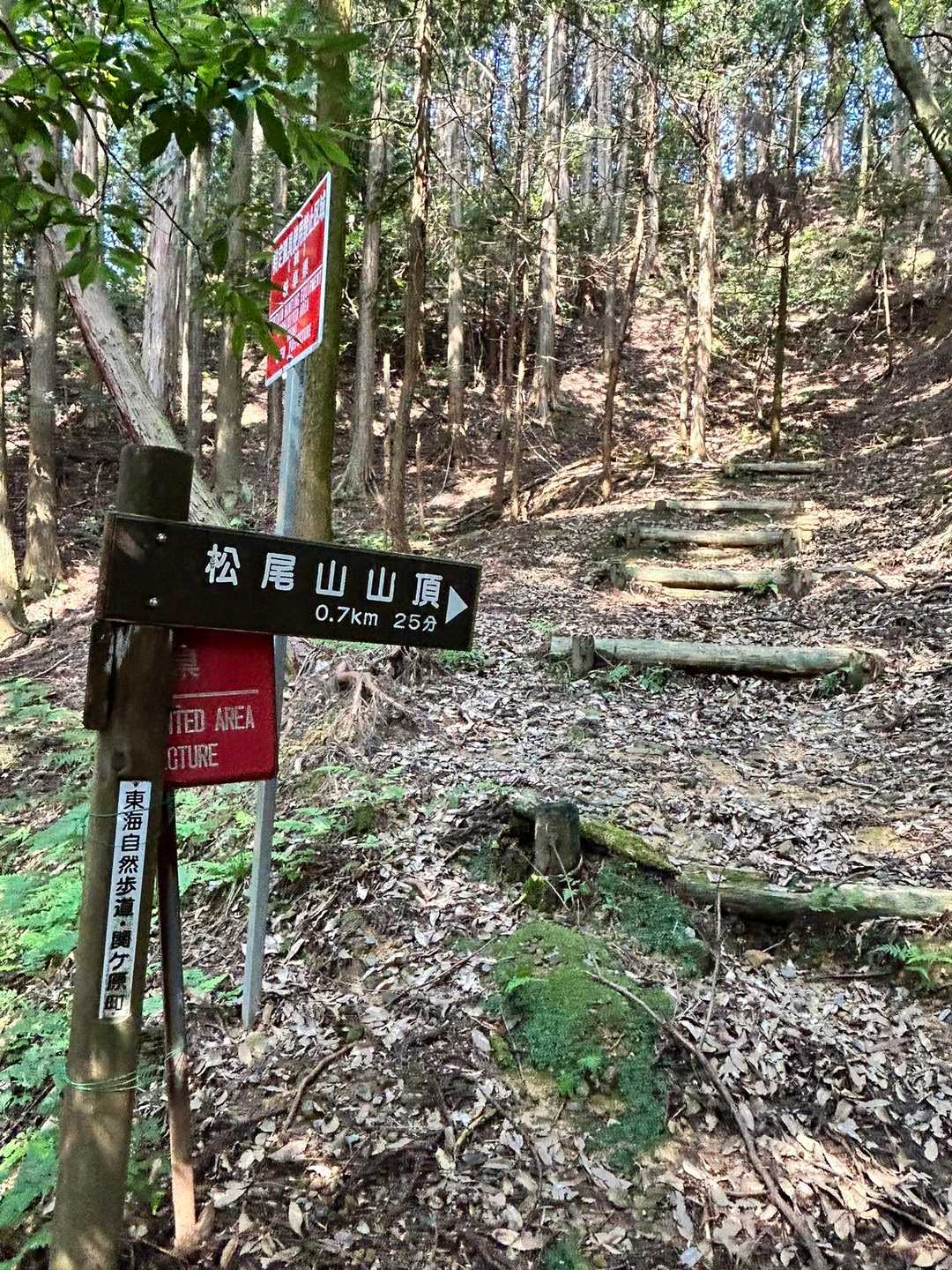 降りてきて分岐
途中階段でズルッと尻もち😂
低山なめるとケガします(なんともなし)