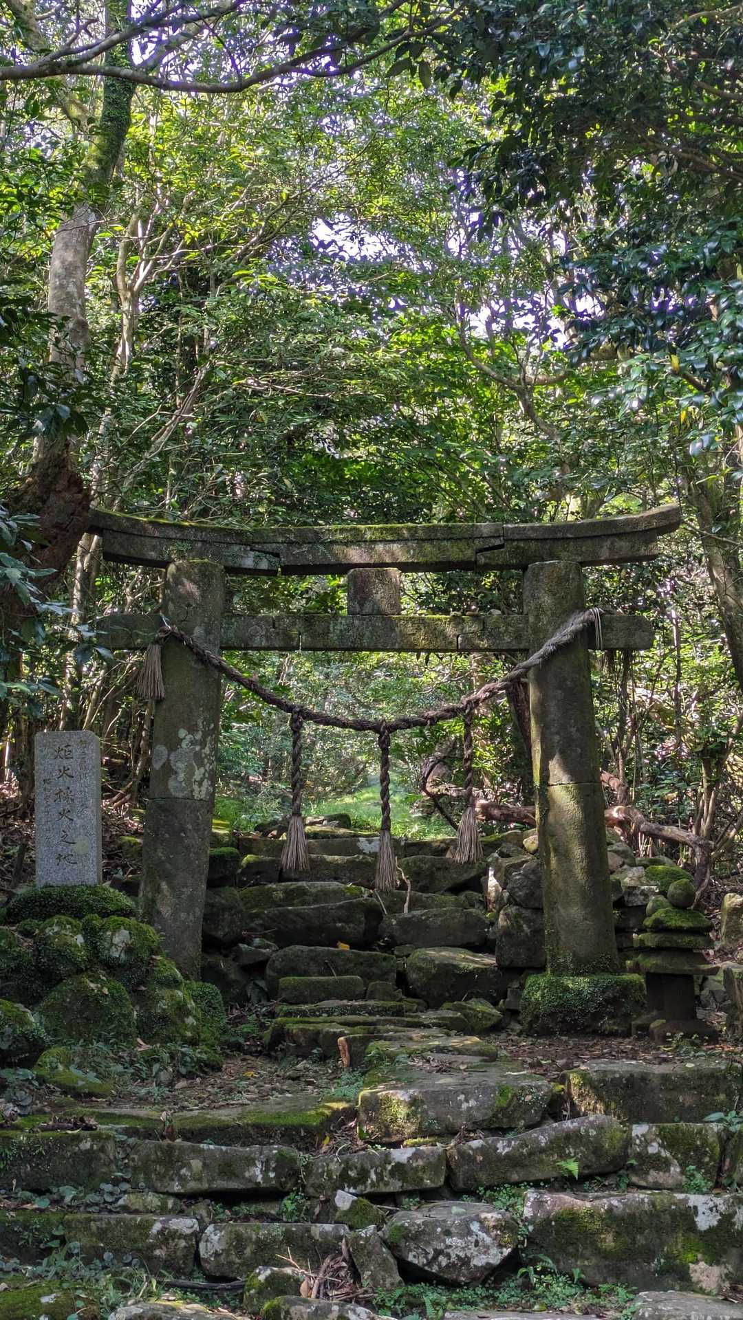 安満岳 往復コースの写真