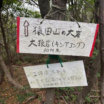 奇岩が多く、見応えあるルートで楽しい🤩