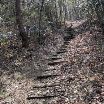 ロードばっかり歩いていると、登りの登山道でも嬉しい😁