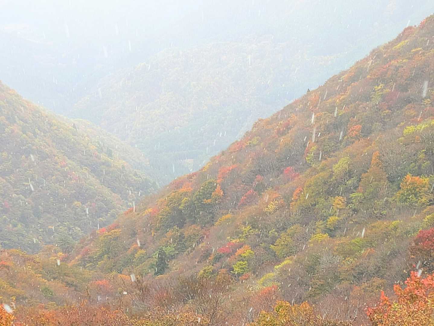 霙は「雪」に変わる