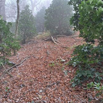 立入禁止エリアを迂回します。