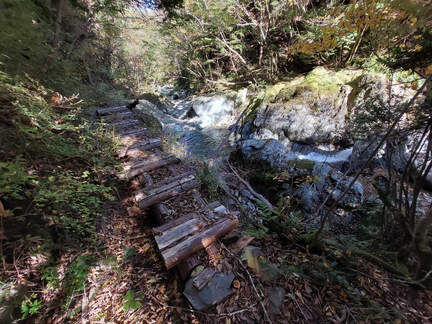 難路っても、近畿でもよくある山道かな。
何度もつったけど。。。