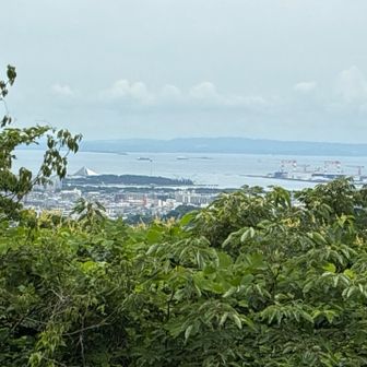八景島が見える。
そして前回も登ったことを思い出しました。ダメだ。