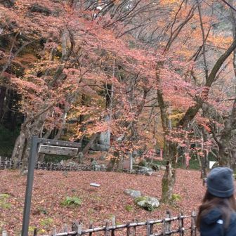 ゆるり族だから
地図は見ない〜