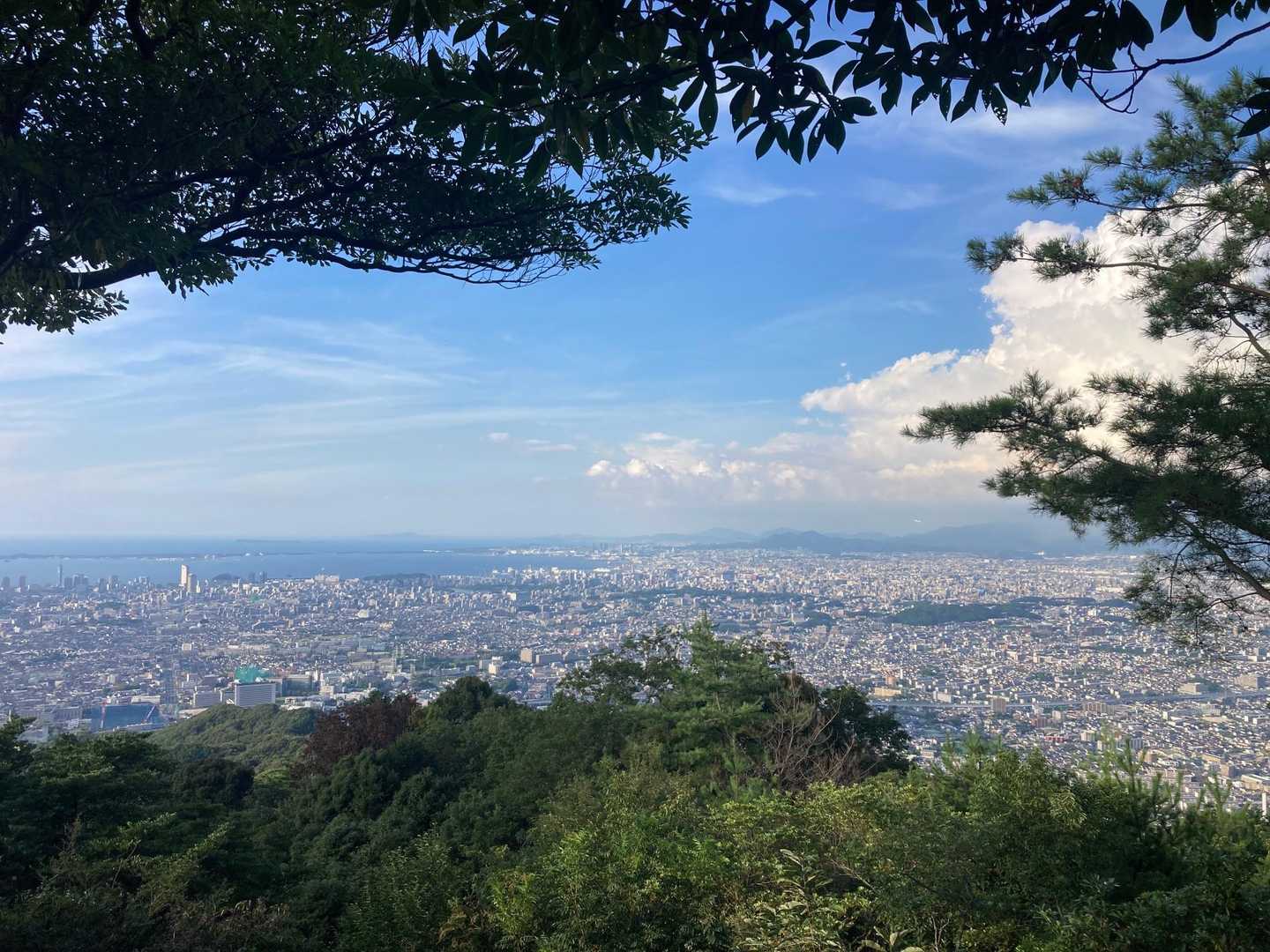 妙見山 往復コースの写真