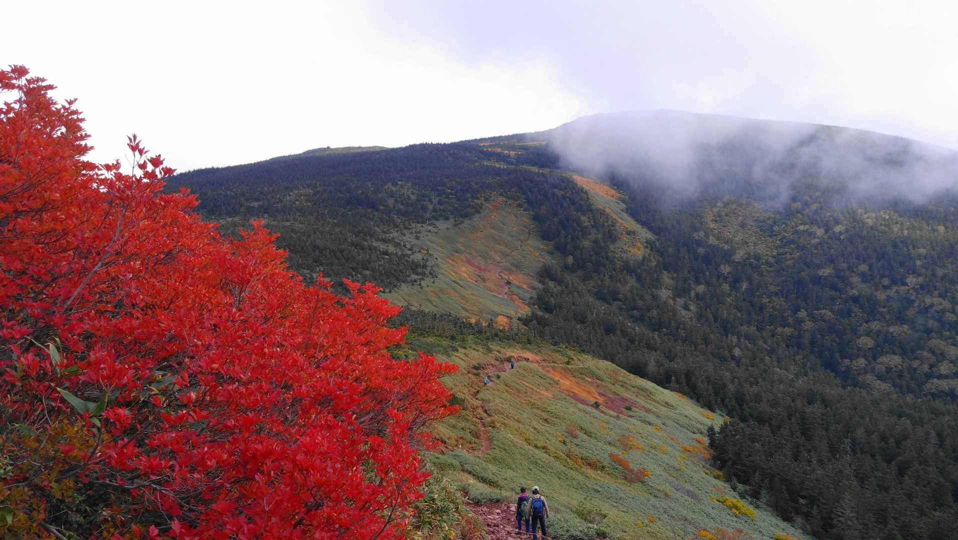 ロープウェイ終点から西大巓-西吾妻山の写真