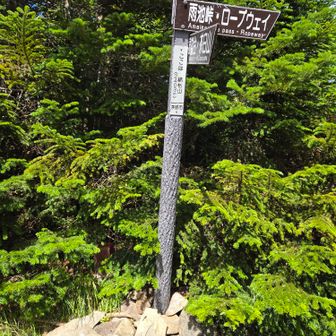 縞枯山はここ？
ここから下って雨池峠まで。
ピストンの予定を変更しました♪
