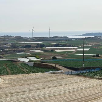 岩堂山付近からの眺め