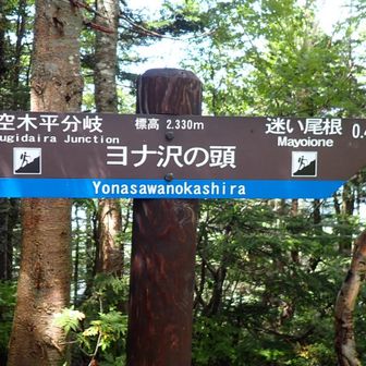 ヨナ沢の頭
ここに到着するまでには雨が上がっていた