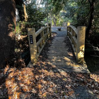 エレベーターが有った所へ