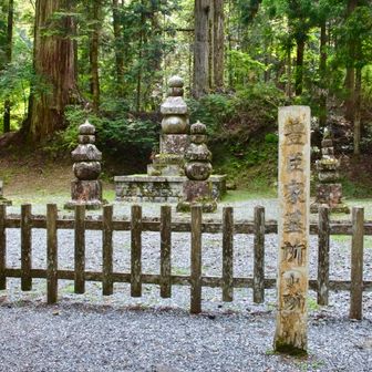 高野山 奥ノ院 穢れが一切ない浄化力が物凄く長居したくなる気持ち良い