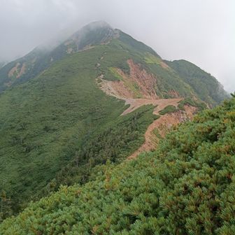 歩いてきた道
