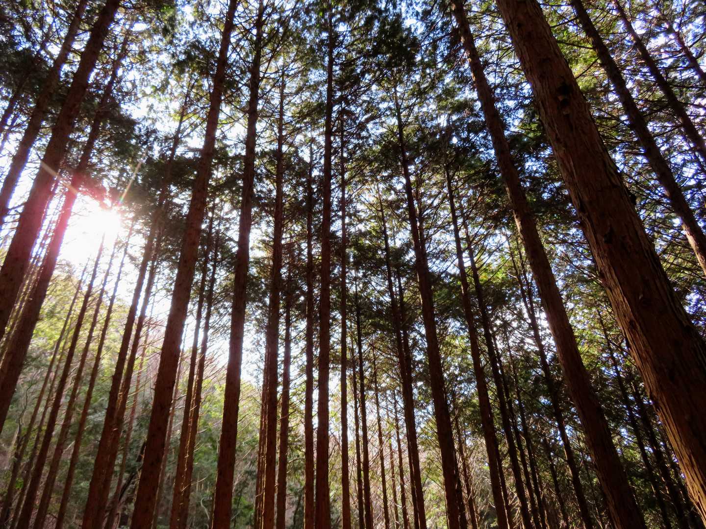 陶の郷前-虚空蔵山 往復コースの写真