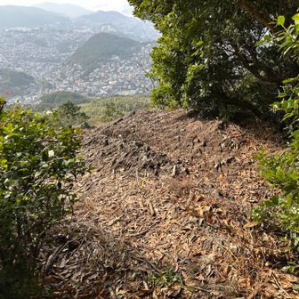 絶景ポイントから