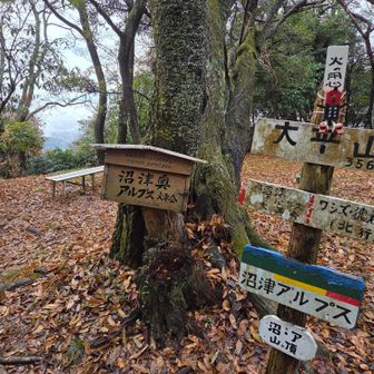 ラストのピーク大平山登頂！

雨天で誰にも会わずソロを満喫できた
楽しい山行でした

ここから降ります